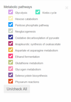 Modal window for metabolic pathways